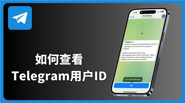 Telegeram账号详解：UID、用户名与注册时间全面解析